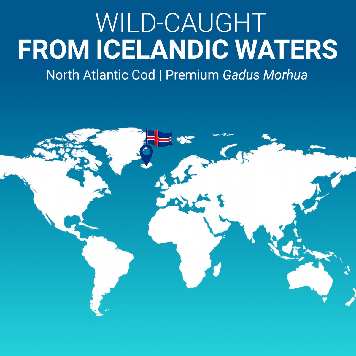 World map highlighting Iceland with text 'Wild-caught from Icelandic Waters' on a blue background.