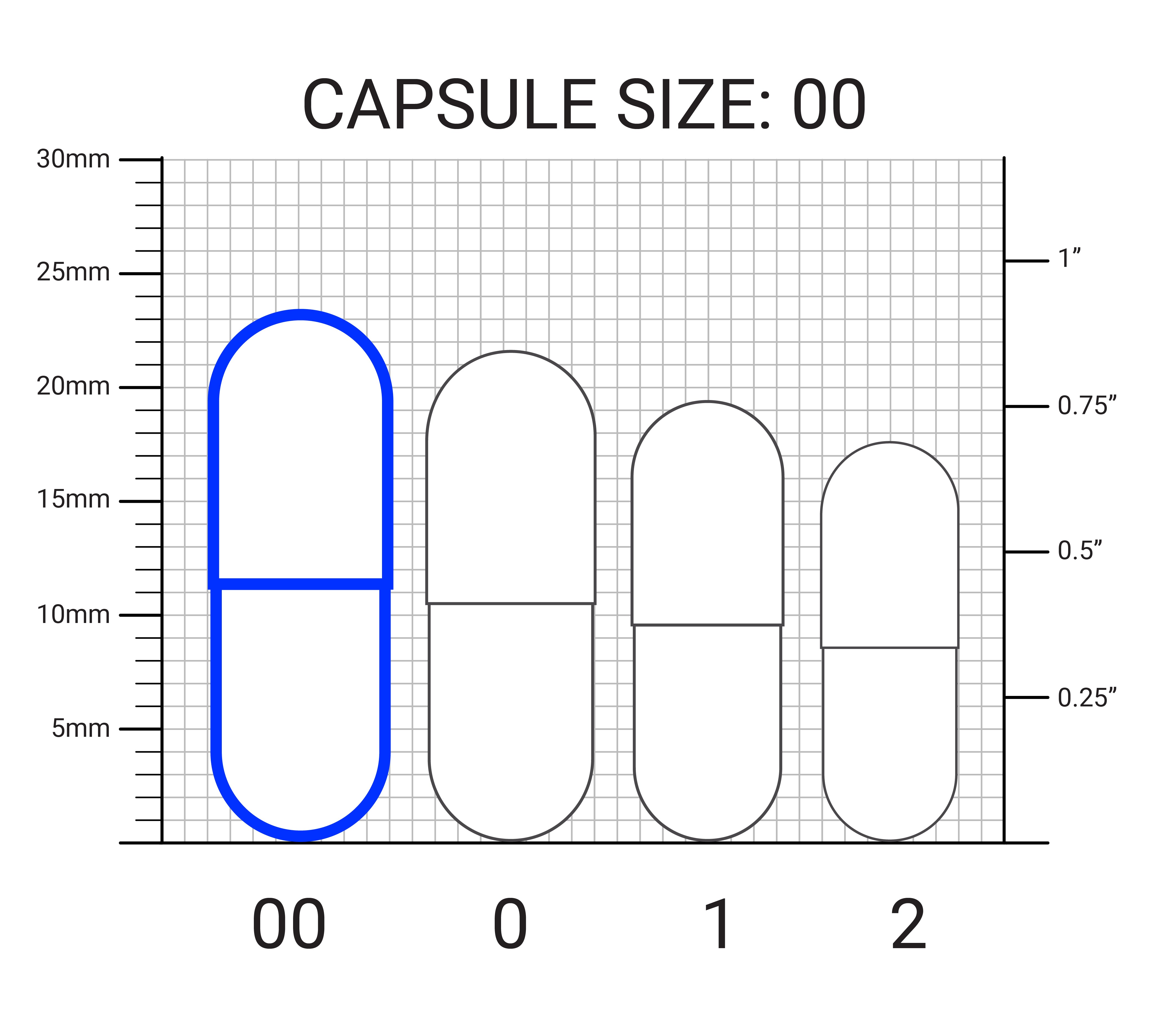 Probiotics with Prebiotic Blend – 60 Billion CFU | Dr. Berg