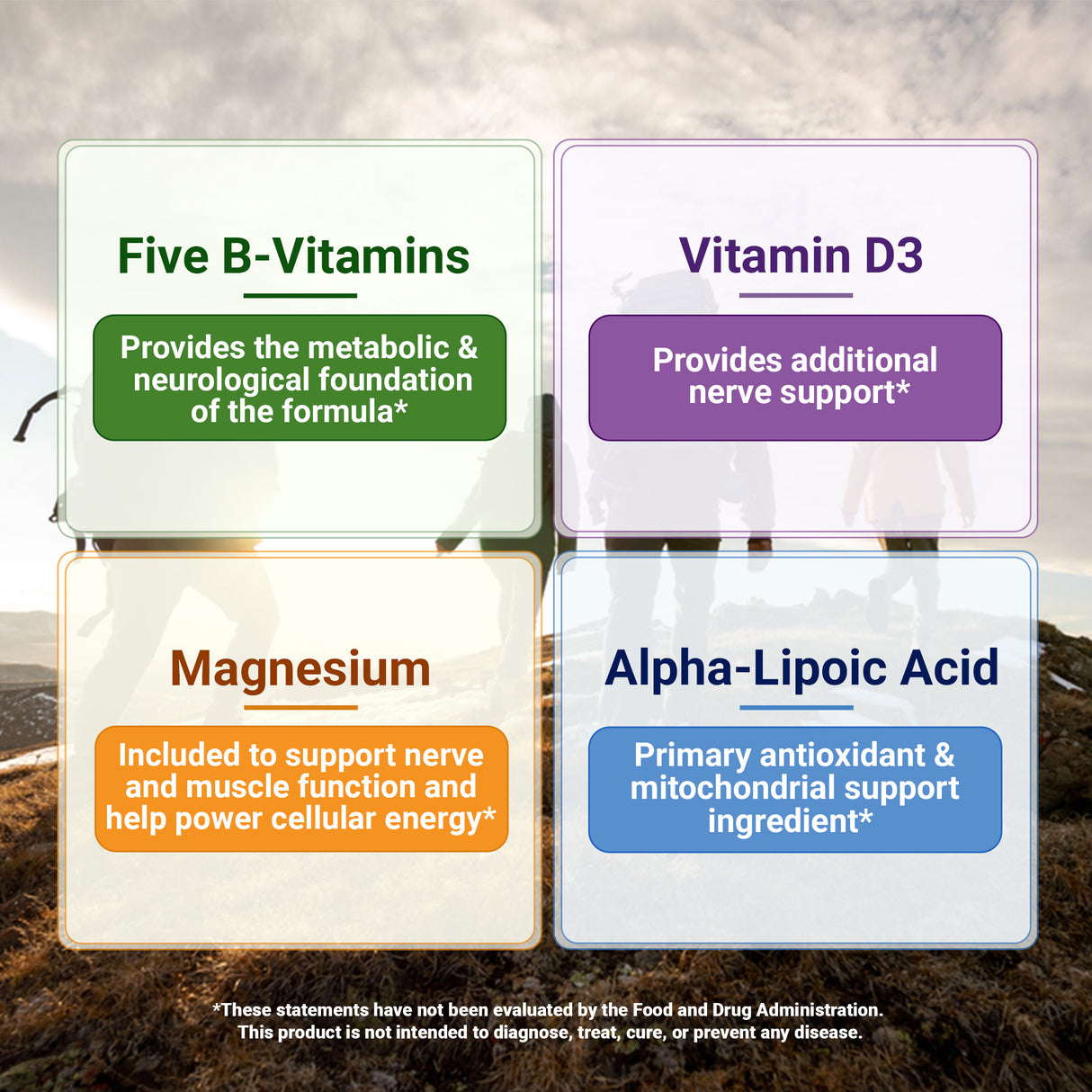 Four panels highlight key nutrients and their benefits: five B vitamins provide the metabolic and neurological foundations of the formula; vitamin D3 provides additional nerve support; magnesium supports nerve and muscle function and helps power cellular energy; and alpha-lipoic acid provides primary antioxidant and mitochondrial support.