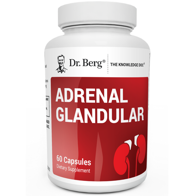 Adrenal Glandular, front view, bottle with Dr. Berg branding and red background showing kidneys.