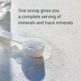 Measuring scoop of powder. One scoop gives a complete serving of minerals and trace minerals.